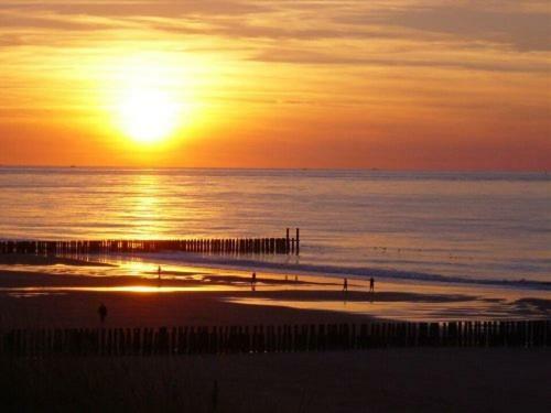 Luxe 4-Persoons Vakantiewoning Aan Zee Zoutelande Dış mekan fotoğraf